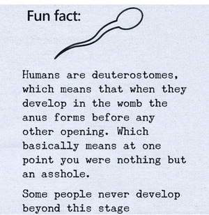 1743553834609.png