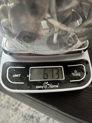 IMG_3531.jpeg