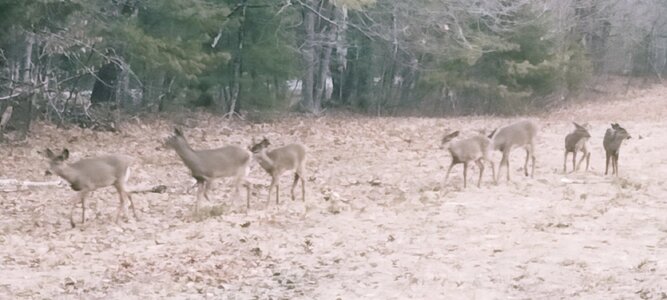 IMG_20250405_072551.jpg