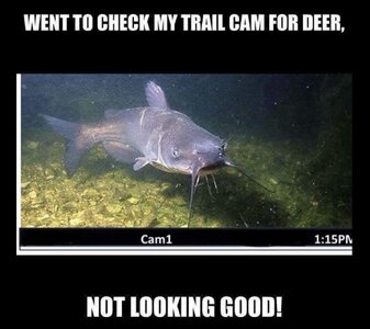 IMG_3116.jpeg
