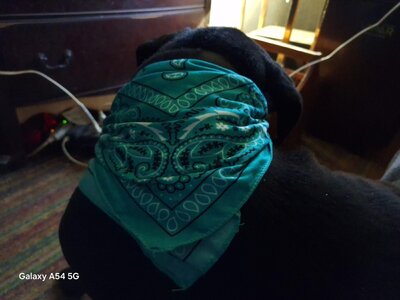 20250405_205010.jpg