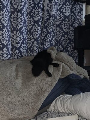 IMG_6352.jpeg