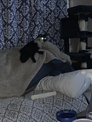 IMG_6353.jpeg