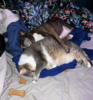 IMG_1045[1].jpeg