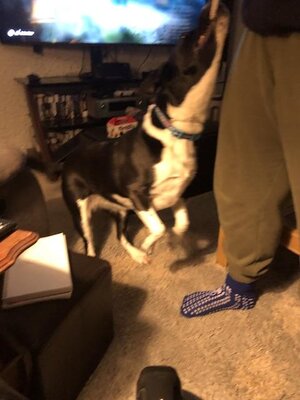 IMG_3410.jpeg