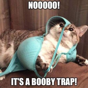 IMG_3474.jpeg