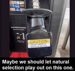 1744073911942.png