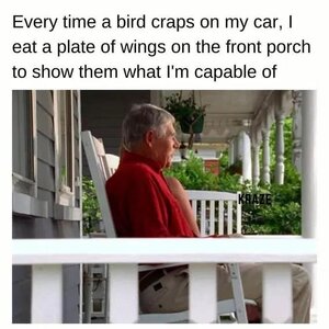 1744173448355.jpeg