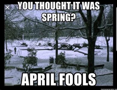 IMG_3532.jpeg