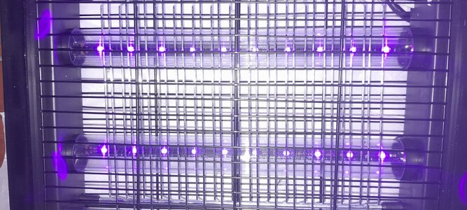 20250404_015239.jpg