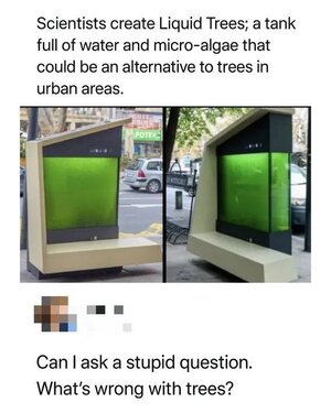 1744635431051.jpeg