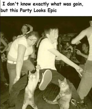 1744678842541.jpeg
