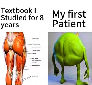 1745009873298.jpeg