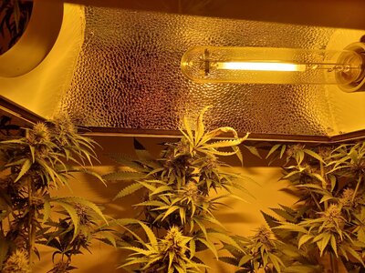 F5 (21).jpg