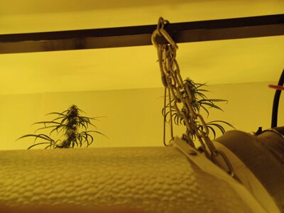 F5 (12).jpg