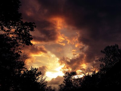 IMG_3147.jpeg