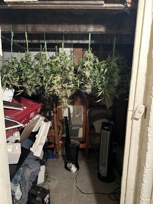 IMG_5525.jpeg