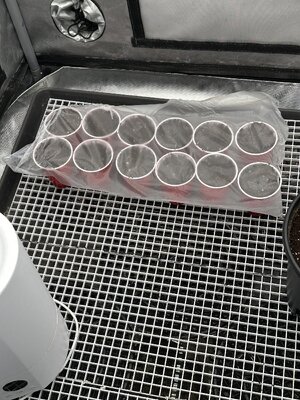 IMG_5548.jpeg IMG_5548.jpeg