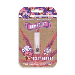 Jelly-Donutz-Mockup-Generic-web.jpg
