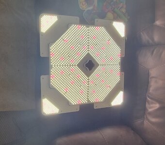 20250423_110525.jpg