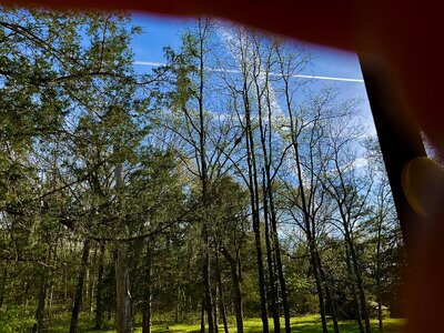 IMG_3152.jpeg