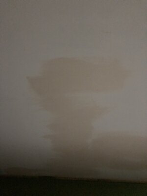 IMG_3710.jpeg