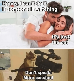 1745533407523.png