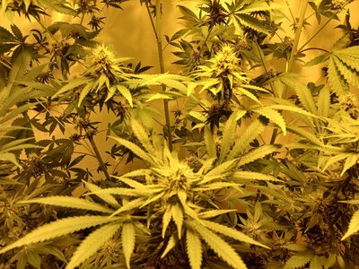 F6 (6).jpg