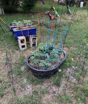 IMG_1253[1].jpeg