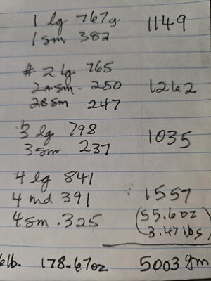 20250428_100836.jpg