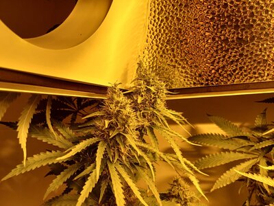 F7 (8).jpg