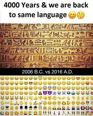 1746401918111.jpeg