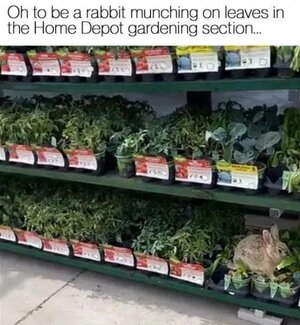 1746550495861.jpeg