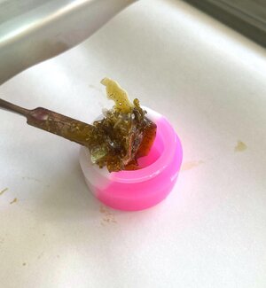 IMG_1332[1].jpeg