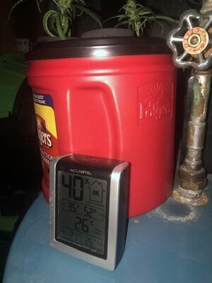 IMG_3860.jpeg