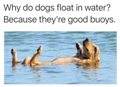 1746752886940.png