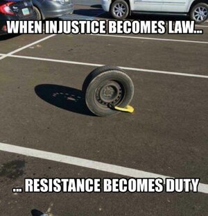 IMG_3421.jpeg