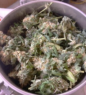 IMG_1364[1].jpeg