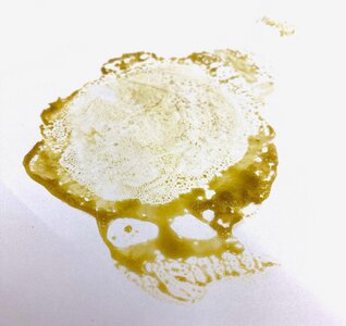 IMG_1367[1].jpeg