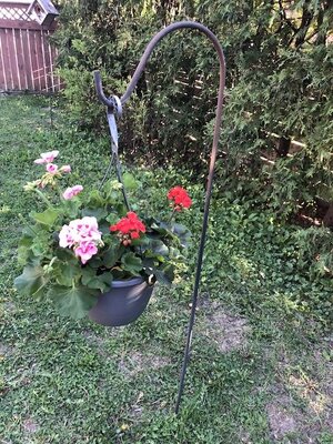IMG_3969.jpeg