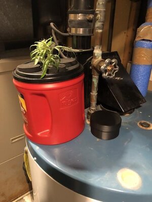 IMG_3973.jpeg