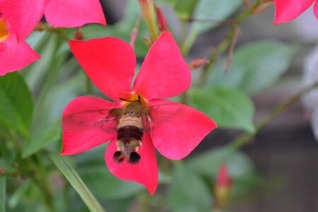 DSC_0466.JPG