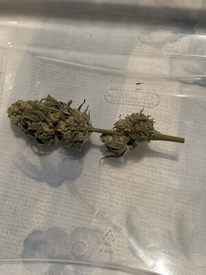 IMG_1706.jpeg