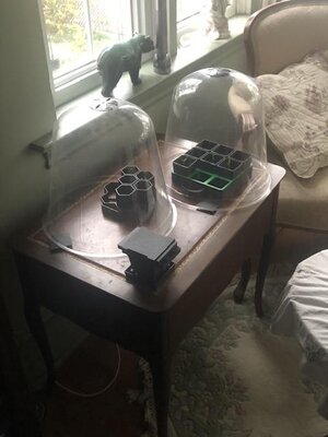 IMG_3992.jpeg