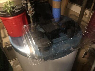 IMG_4018.jpeg