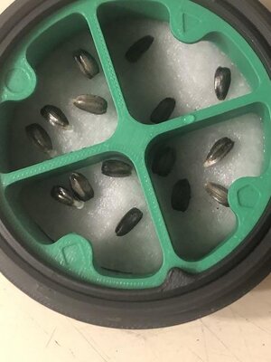 IMG_4014.jpeg