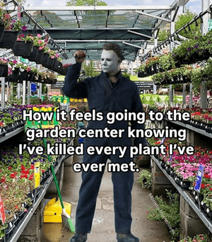 1747266417730.png