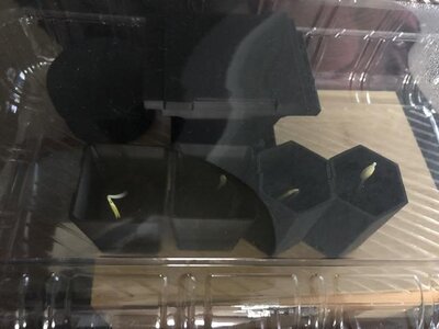 IMG_4041.jpeg