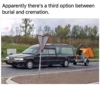bj51sm8m7t0f1.jpeg