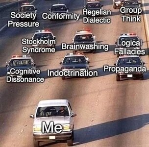 1747386530156.jpeg